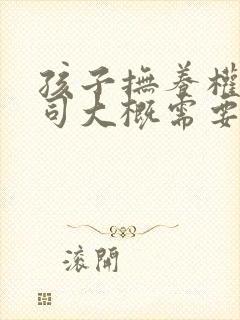 孩子抚养权打官司大概需要多少钱