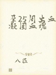 孕25周出血有凝固血块