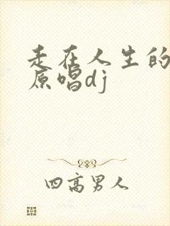 走在人生的路口原唱dj