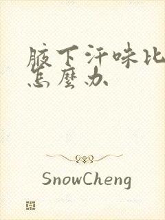 腋下汗味比较重怎么办