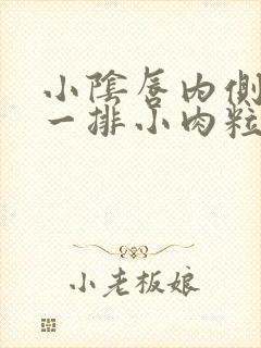 小阴唇内侧长了一排小肉粒封面