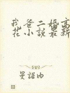 我爸二婚高冷校花小说最新章节列表