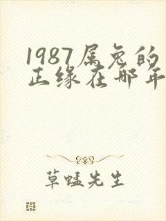 1987属兔的正缘在哪年