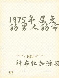 1975年属兔的男人的命运怎么样封面