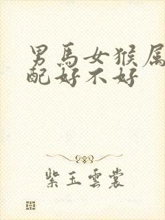 男马女猴属相婚配好不好