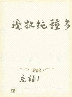 边牧纯种多少钱