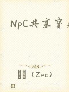 NpC共享宝贝