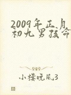 2009年正月初九男孩命运如何