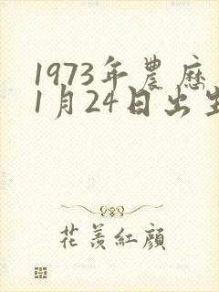 1973年农历1月24日出生什么命