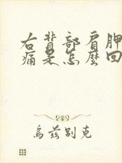 右背部肩胛骨酸痛是怎么回事封面