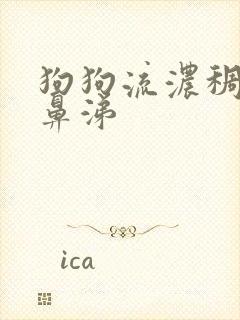 狗狗流浓稠的黄鼻涕