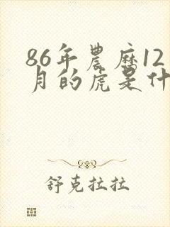 86年农历12月的虎是什么命运
