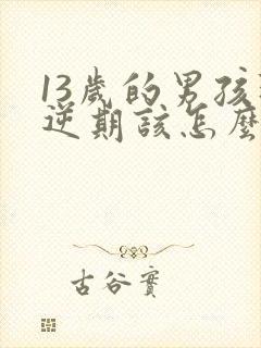 13岁的男孩叛逆期该怎么办封面