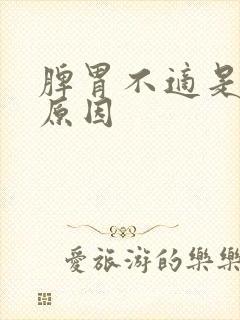 脾胃不适是什么原因