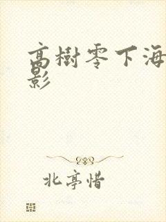 高树零下海的电影