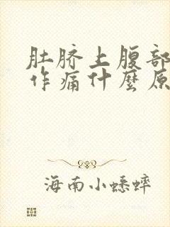 肚脐上腹部隐隐作痛什么原因封面