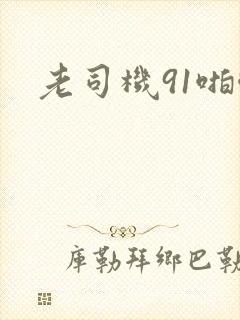 老司机91啪啪