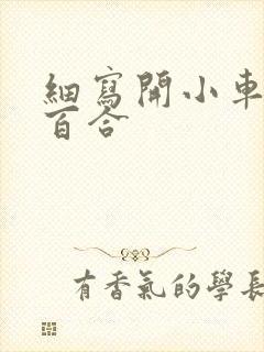 细写开小车车的百合封面