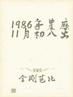 1986年农历11月初八出生命运