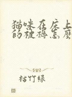 猫咪在床上拉尿的被褥怎么处理封面