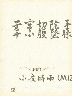 子宫切除手术半年小腹坠胀是什么原因