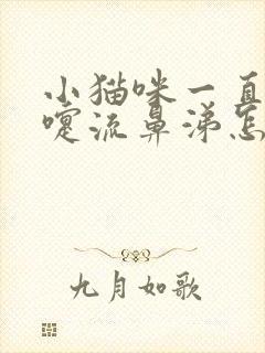 小猫咪一直打喷嚏流鼻涕怎么回事?封面