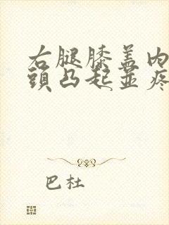 右腿膝盖内侧骨头凸起并疼痛