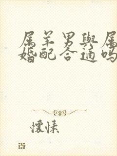 属羊男与属牛女婚配合适吗