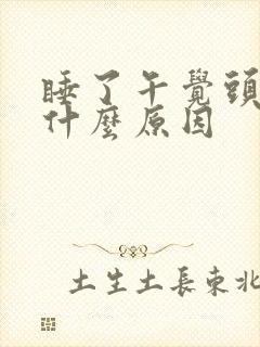 睡了午觉头疼是什么原因封面