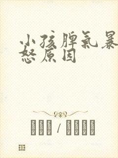 小孩脾气暴躁易怒原因封面