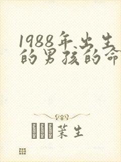 1988年出生的男孩的命运