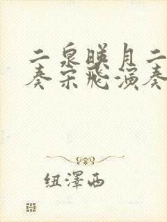 二泉映月二胡独奏宋飞演奏