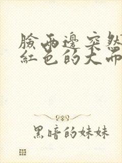 脸两边突然起了红色的大面积的痘痘