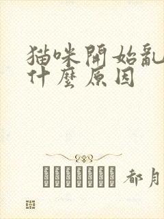 猫咪开始乱尿是什么原因封面