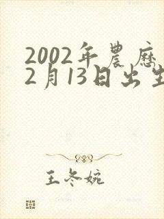 2002年农历2月13日出生的男孩命运