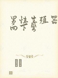 男性生殖器勃起向下弯