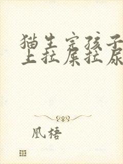 猫生完孩子在床上拉屎拉尿怎么办封面