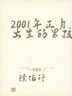 2001年正月出生的男孩命运怎样封面