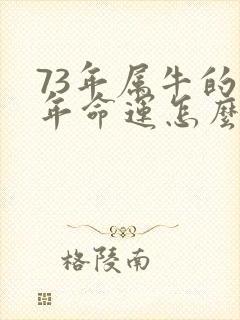 73年属牛的今年命运怎么样