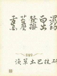 舌苔发白湿气重怎么排出的封面