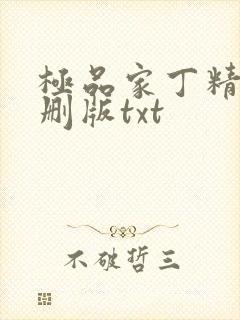 极品家丁精校无删版txt