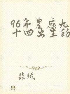 96年农历九月十四出生的命