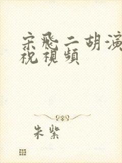 宋飞二胡演奏梁祝视频