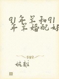 91年羊和91年羊婚配好不好