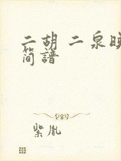 二胡 二泉映月简谱