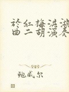 于红梅洪湖随想曲二胡演奏