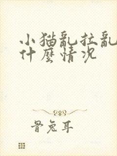 小猫乱拉乱尿是什么情况封面