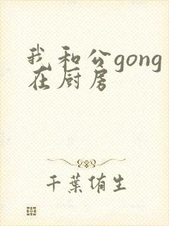 我和公gong在厨房