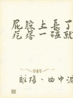 屁股上长了一个疙瘩一碰就疼