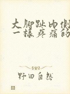 大脚趾内侧针刺一样疼痛的原因